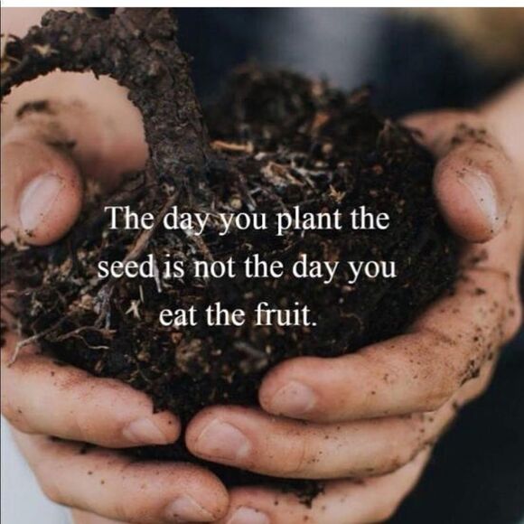 Swarovski authentic Crystals Rose gold plated - Picture 5 of 6